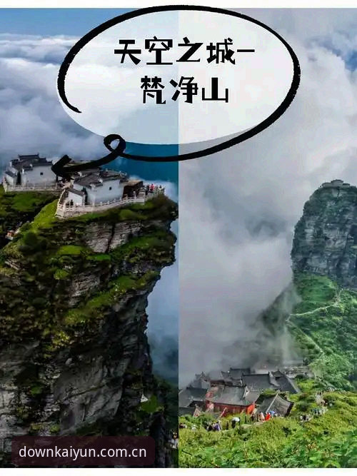 开云中国官方网站入口怎么样 揭秘开云中国官方网站入口的真实体验——它到底行不行?